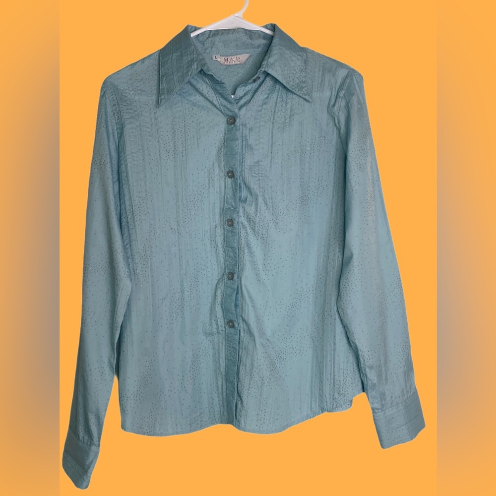 Vintage Baby Blue with Silver Glitter Button Down